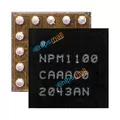 NPM1100-CAAA-E-R7