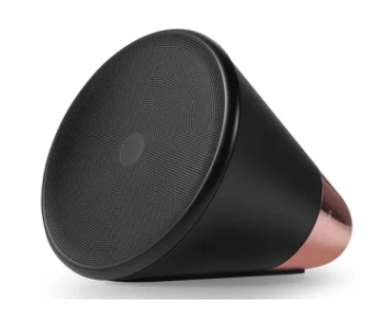 cone speaker