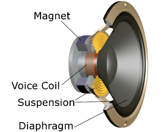 internal component of speaker