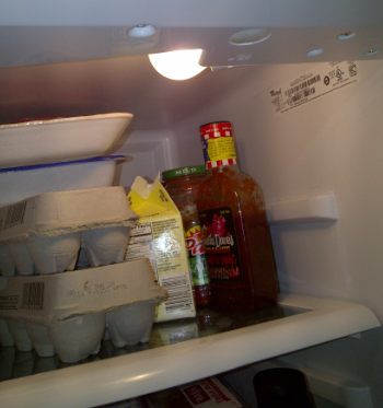 refrigerator door light