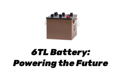 Unveiling the Excellence of 6TL Battery Technology
